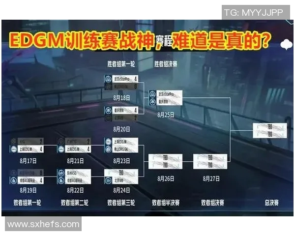 电竞比分王者荣耀战术WE的运营体系深度解析与实战应用探讨